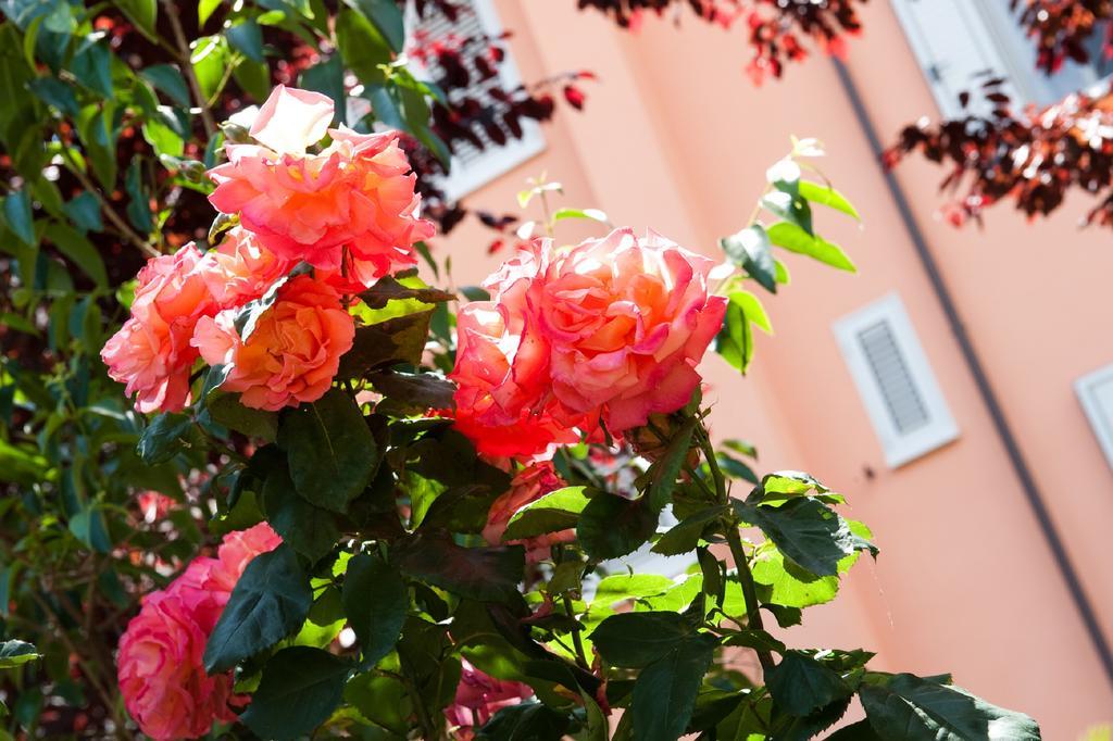 Hotel La Toscana Arezzo Exterior foto